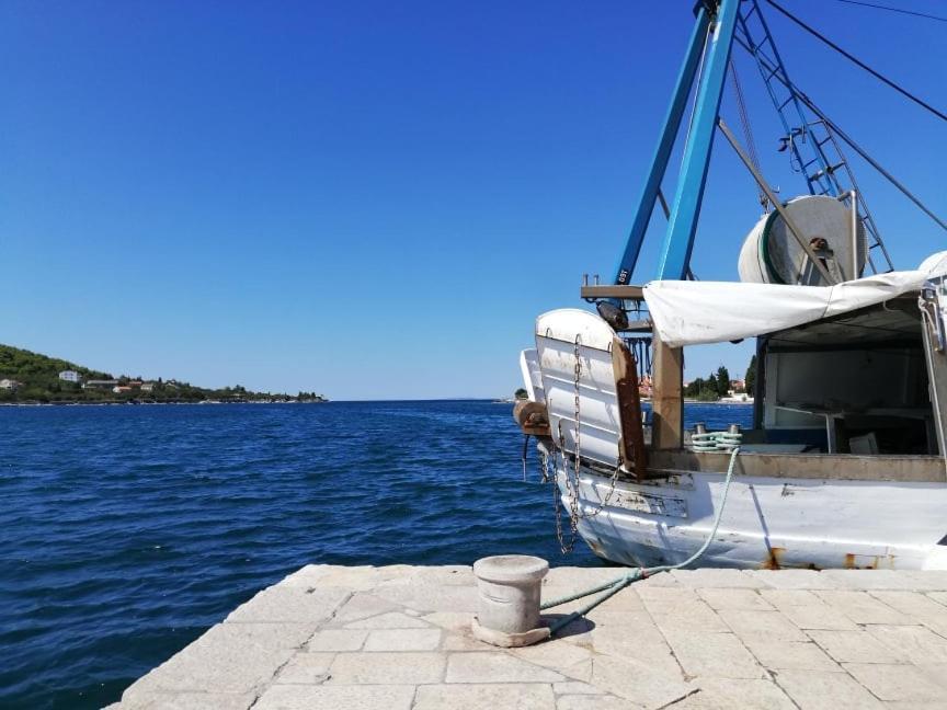 Apartments Branimir Zadar Exterior photo